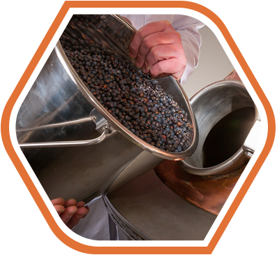 A person pouring a container of dark berries into a metal machine, illustrating the distilling and brewing of natural ingredients in the production of Raw Material Supplies.