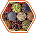 An assortment of various colorful spices and grains displayed in small bowls, showcasing raw material supplies essential for human and animal nutrition.