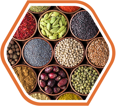 An assortment of various colorful spices and grains displayed in small bowls, showcasing raw material supplies essential for human and animal nutrition.